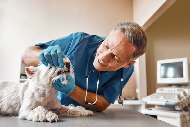 Best Walk-In Emergency Dentist in West Menlo Park, CA